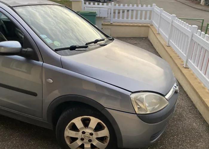 Meuble Totalement Climatise Au Calme Avec Cuisine Et Lave Linge Integres Apartament Malzéville