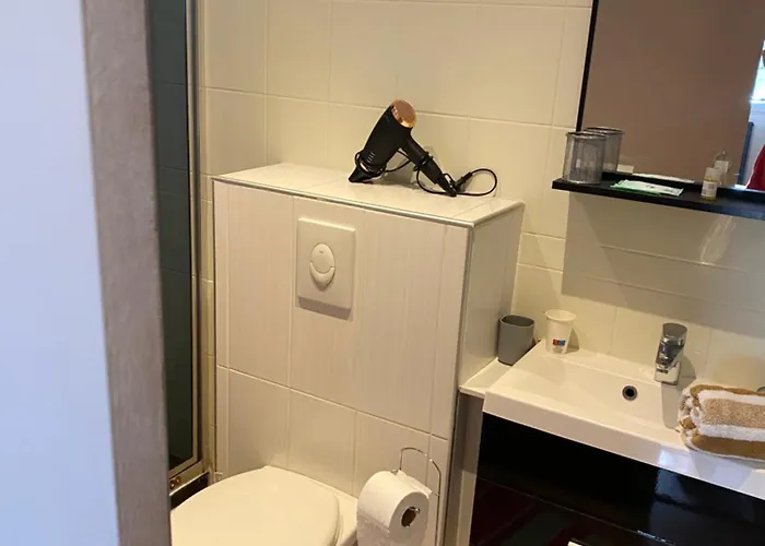 Apartament Meuble Totalement Climatise Au Calme Avec Cuisine Et Lave Linge Integres Malzéville